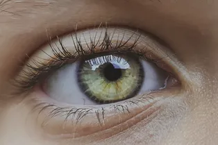 Доказано: размер зрачков связан с интеллектом человека