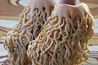 НАХОДКА НЕДЕЛИ