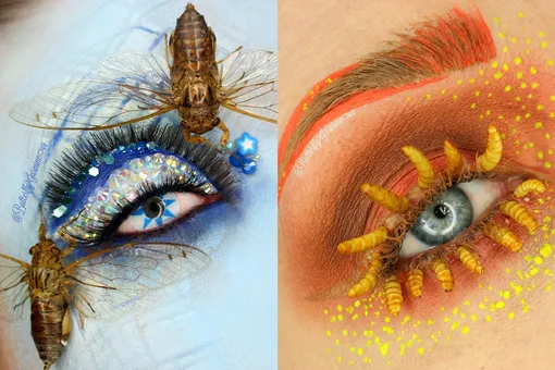 Страшно красиво: бьюти-блогер использует настоящих жуков и пауков в макияже