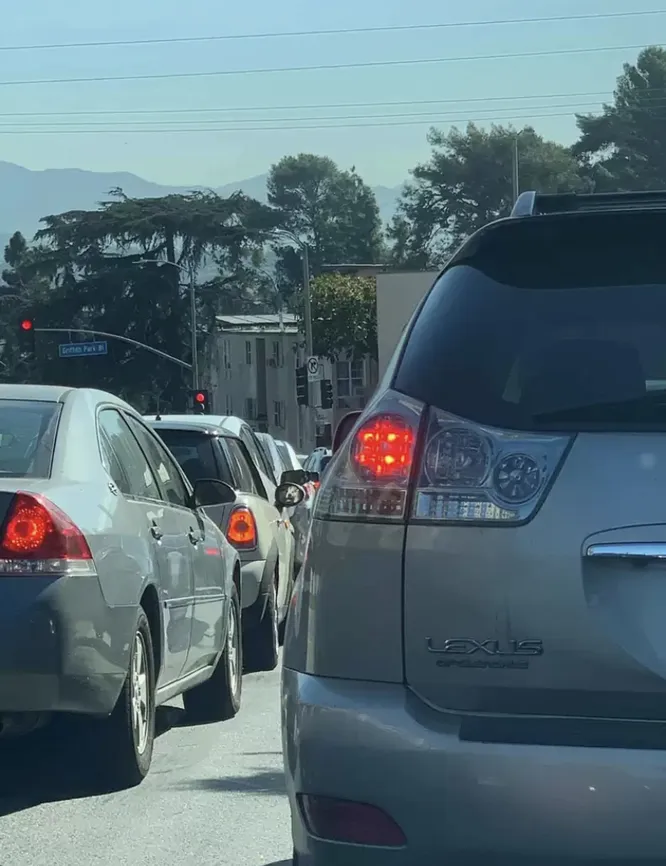 Увидели на снимке хаски?