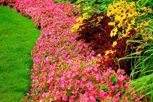 ФЕСТИВАЛЬ FLOWER POWER ФЕСТИВАЛЬ FLOWER POWER