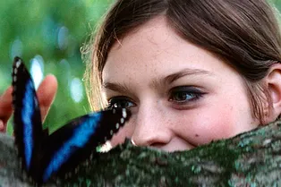 Эффект бабочки