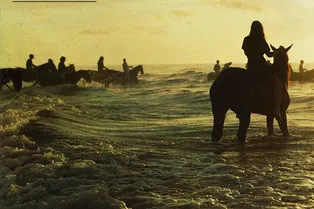 CD. Foals. Holy fire CD. Foals. Holy fire