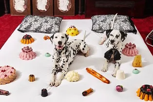 5 диетических десертов на новогодние праздники: готовим дома, едим и худеем