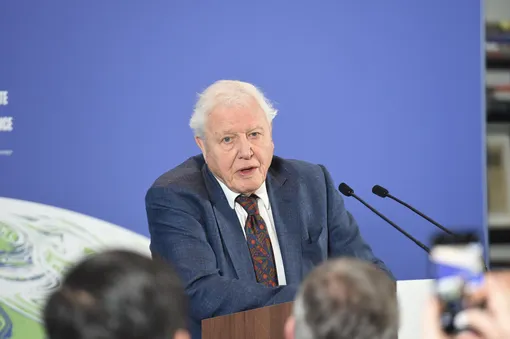 Дэвид Аттенборо Дэвид Аттенборо