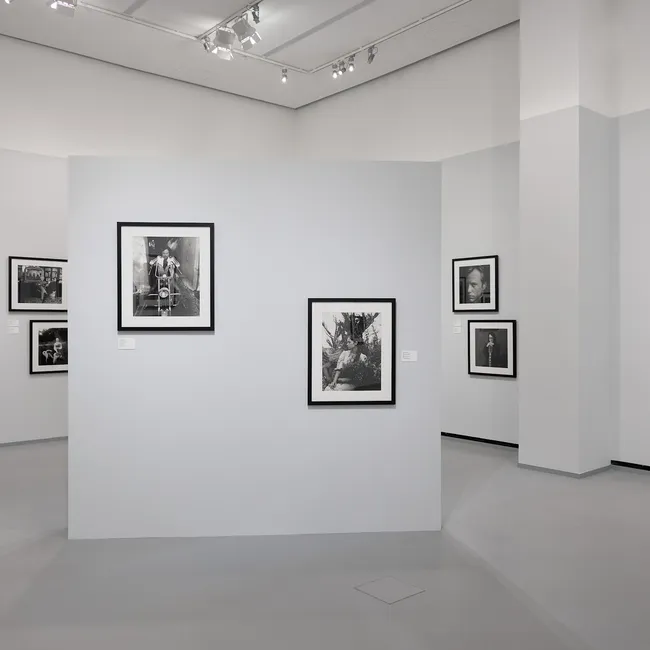 Большая выставка фотографий, фестиваль классической музыки и не только: главные культурные события недели