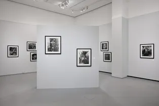 Большая выставка фотографий, фестиваль классической музыки и не только: главные культурные события недели Большая выставка фотографий, фестиваль классической музыки и не только: главные культурные события недели
