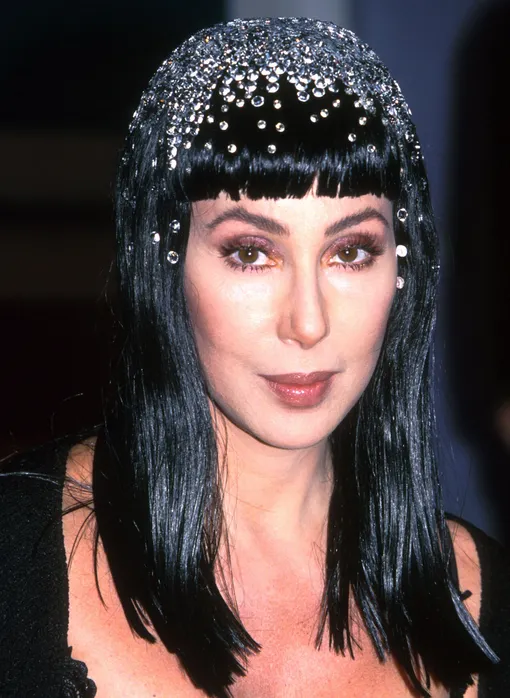 Шер в 1999 году Шер в 1999 году