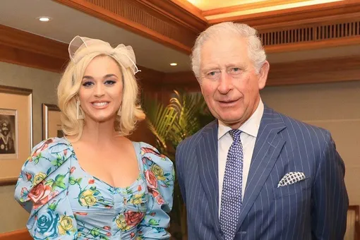 Кэти Перри пришла на встречу с принцем Чарльзом в платье с пикантным декольте