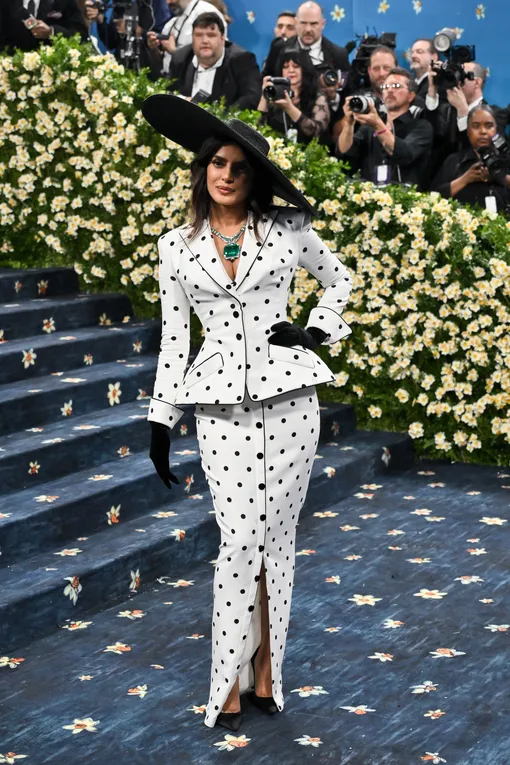 Приянка Чопра на Met Gala-2025 Приянка Чопра на Met Gala 2025