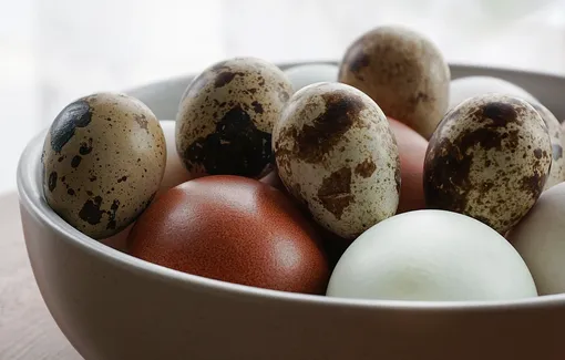 Какие яйца полезнее?