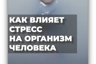 Как влияет стресс на организм человека?