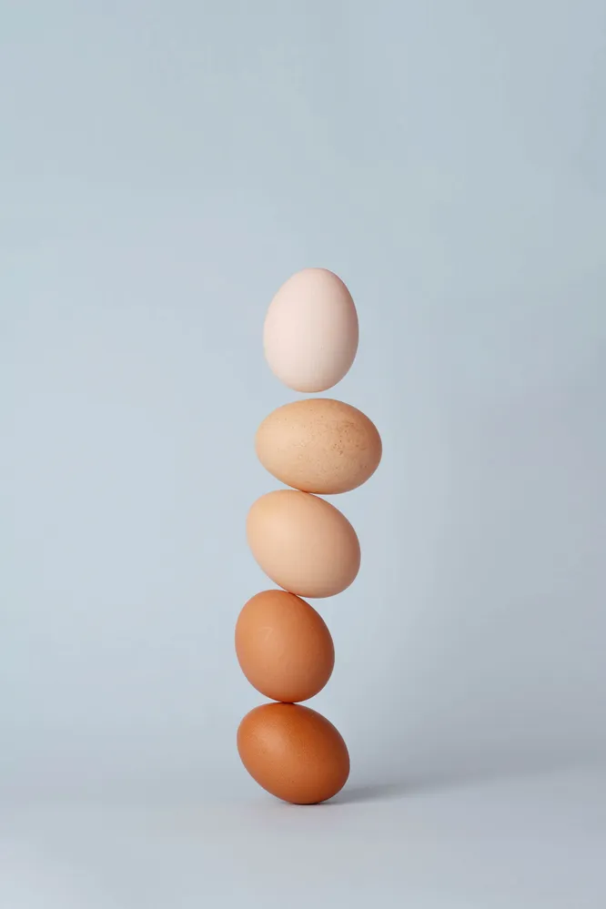 Какие яйца полезнее для здоровья: белые или коричневые?