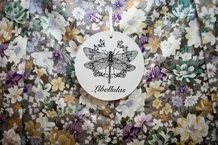 Презентация Libellulas Презентация Libellulas