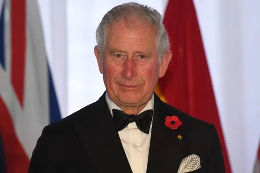 «Я не глупый»: принц Чарльз дал редкое интервью в канун 70-летия