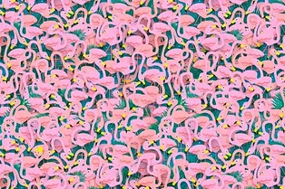 Сложная визуальная головоломка для самых внимательных: найдите балерину, которая затерялась среди фламинго — будет нелегко!