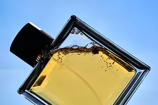 Какие парфюмерные ноты считаются дорогими Какие парфюмерные ноты считаются дорогими