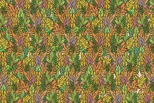 Эту визуальную головоломку смогут решить только самые зоркие — остальным она не по силам! А вы найдете лягушку на картинке?