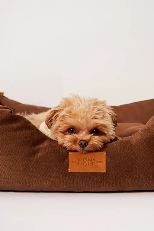 зимние переноски Monamour