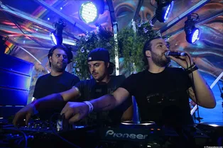 ВЕЧЕРИНКА. SWEDISH HOUSE MAFIA ВЕЧЕРИНКА. SWEDISH HOUSE MAFIA