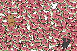 Каждый второй пользователь Сети утверждает, что на этой картинке нет долек арбуза без косточек — но они есть! А у вас получится их отыскать?