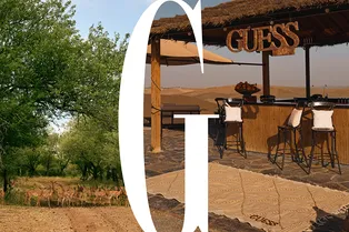 Брендированный курорт, сафари-тур или комфортный отдых на Мальдивах: лучшие предложения отелей Брендированный курорт, сафари-тур или комфортный отдых на Мальдивах: лучшие предложения отелей