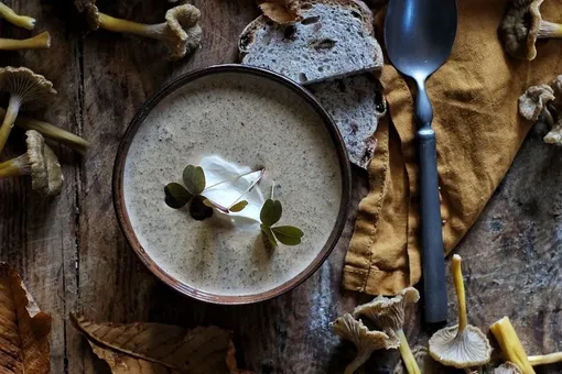 Грибной суп — главное блюдо осени: 5 рецептов из шампиньонов, сушеных грибов, без сливок и не только