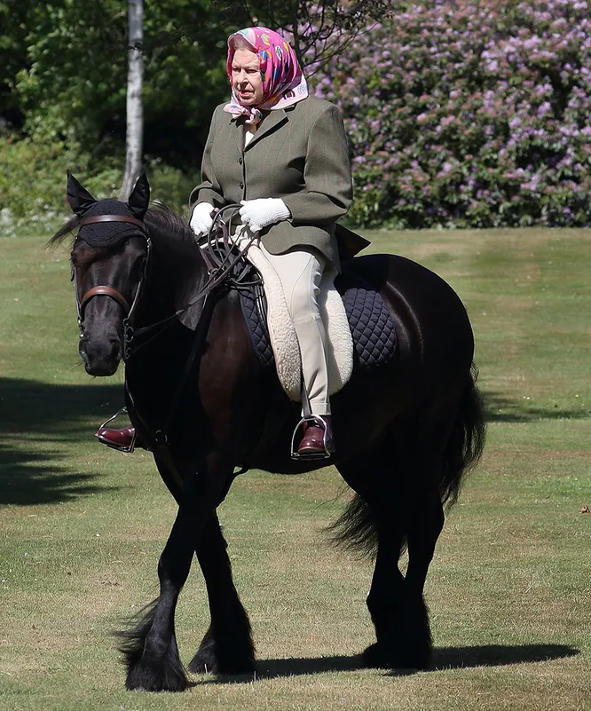 Наряд Елизаветы II для прогулки на лошади