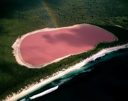 Розовое озеро Хиллиер