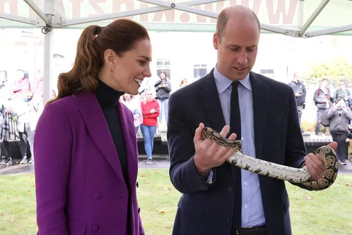 Принц Уильям держит змею