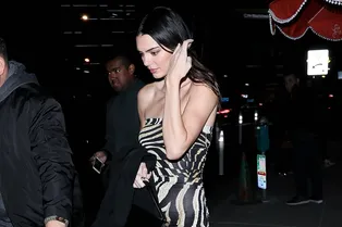 Сияющее макси или «зебровое» мини? Две идеи для новогоднего наряда от Кендалл Дженнер