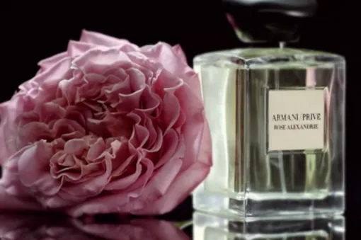 Giorgio Armani купить онлайн