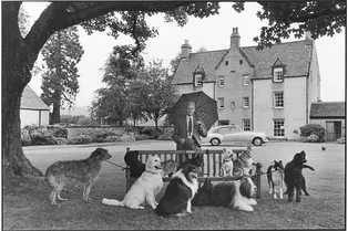 Выставка. «Эллиотт Эрвитт. Великое шотландское приключение»