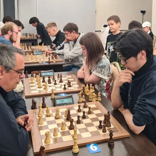 Шахматный клуб Chess Fight Night