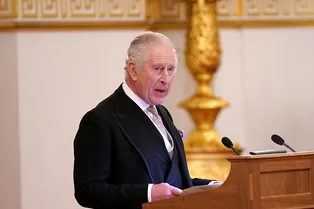 Карл III отказывается возмещать расходы принца Эндрю на гуру-целителя Карл III отказывается возмещать расходы принца Эндрю на гуру-целителя