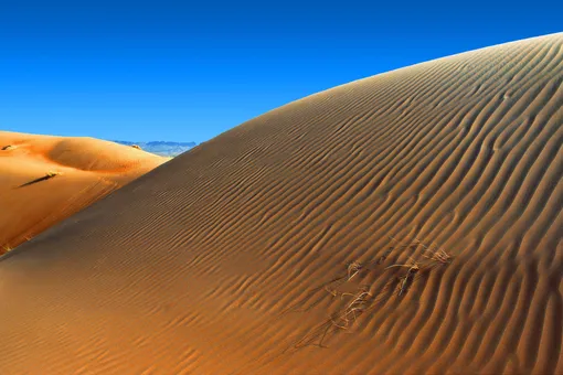 Дневные температуры в пустыне могут достигать почти 50 градусов
