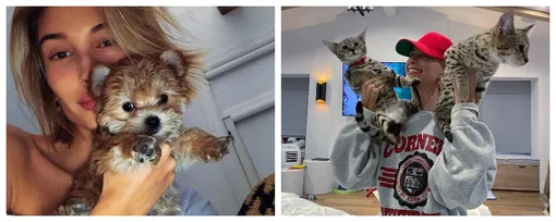 фото из открытых источников