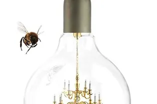 НАХОДКА НЕДЕЛИ