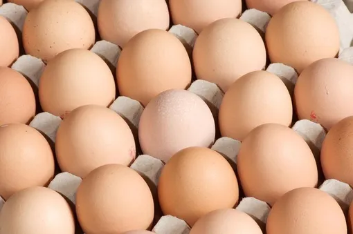 Яйца могут улучшить настроение