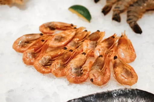 На Центральном рынке открылся новый ресторан морепродуктов «Не Путай Берега»