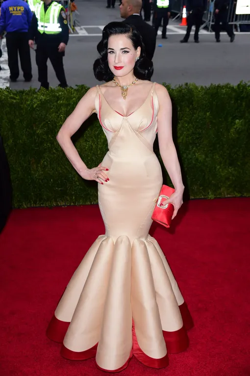 Дита фон Тиз в 2014 году на Met Gala Дита фон Тиз в 2014 году на Met Gala