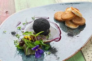 Паштетный «метеорит» из фуа-гра и перепелки