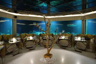 Новогодние праздники на Мальдивах: что делать на островах в каникулы Новогодние праздники на Мальдивах: что делать на островах в каникулы