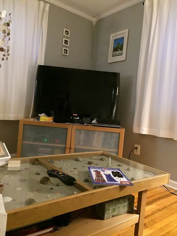 Нашли спрятавшегося кота на снимке?