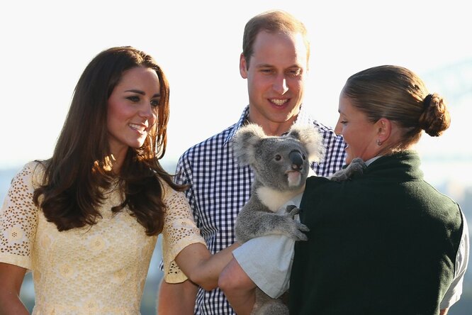 Кейт Миддлтон и принц Уильям уже были в Австралии в 2014 году
