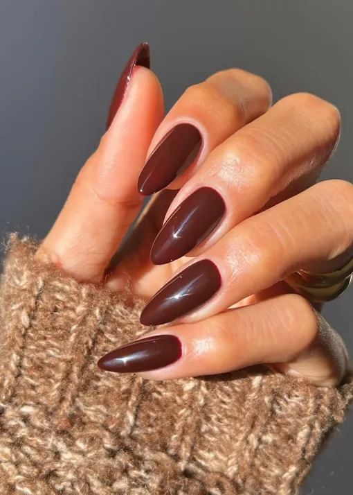 Шоколадный маникюр на зиму 2026 Шоколадный маникюр на зиму 2026