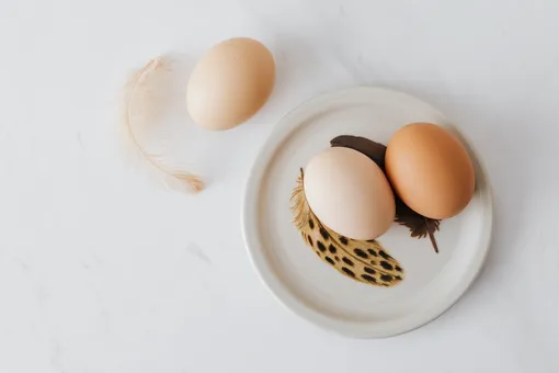 В чем разница между белыми и коричневыми яйцами?