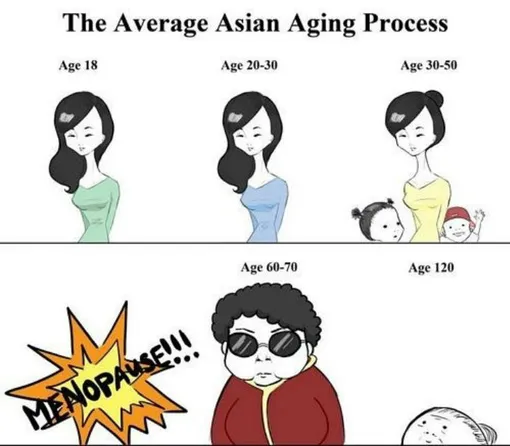 Мем о старении японских женщин