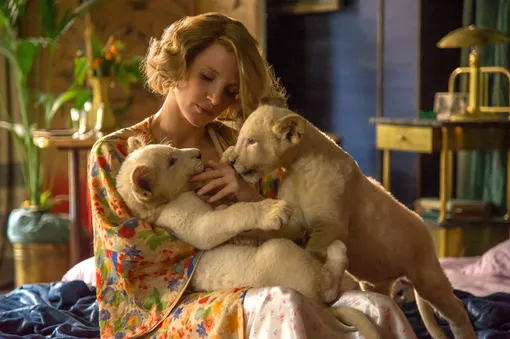 Кадр из фильма «Жена смотрителя зоопарка»