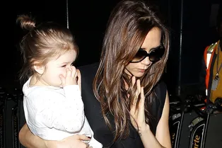 Дама сдавала в багаж Дама сдавала в багаж